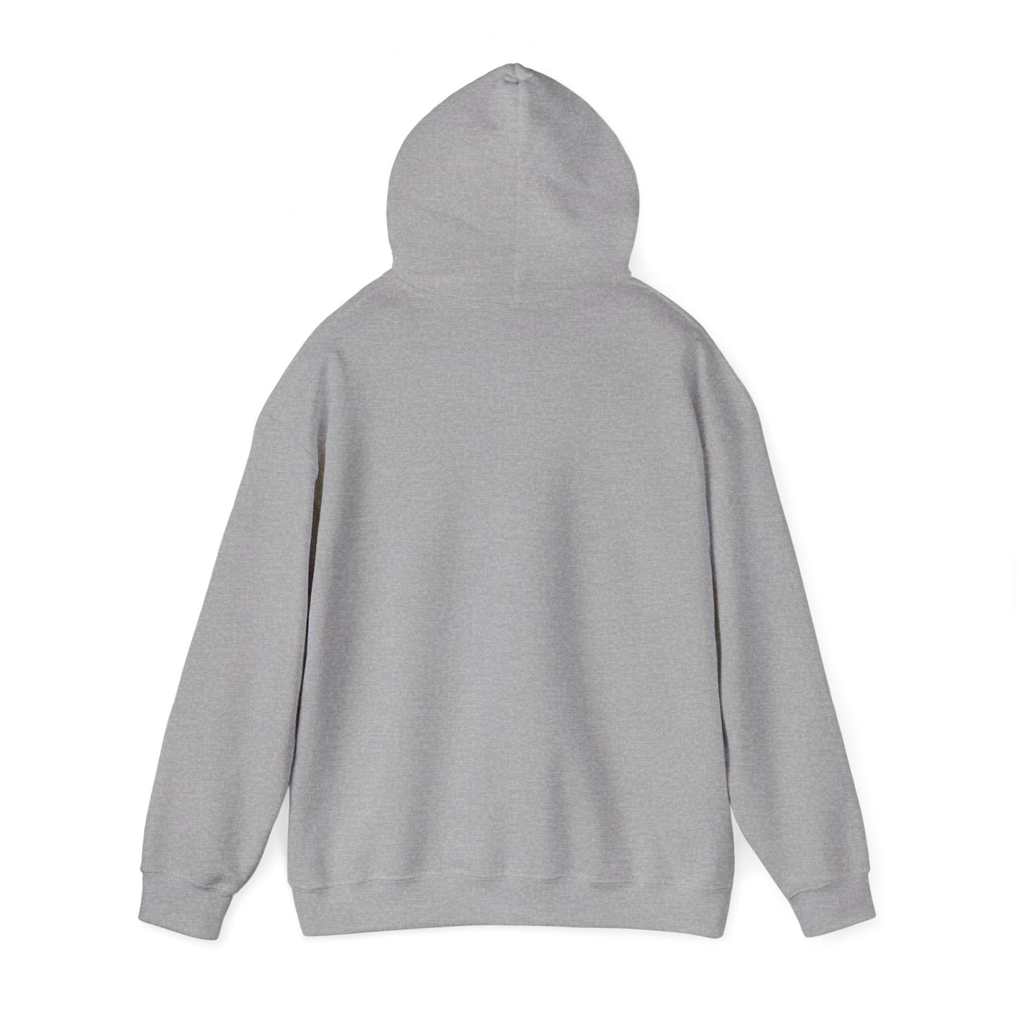 America Freedom Hoodie
