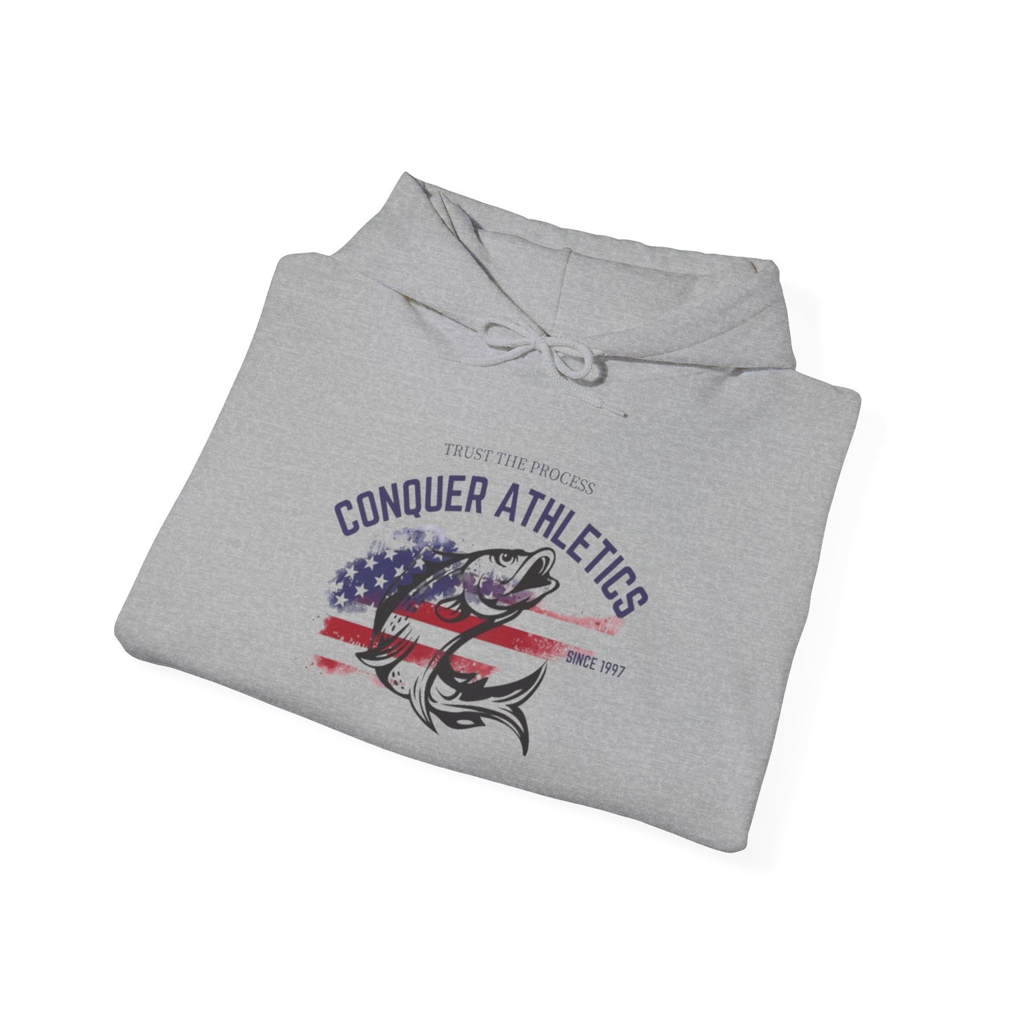 America Freedom Hoodie